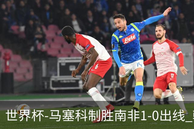 世界杯-马塞科制胜南非1-0出线 韩国积3分获小组第三待定