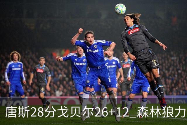 唐斯28分戈贝尔26+12 森林狼力克黄蜂4连胜
