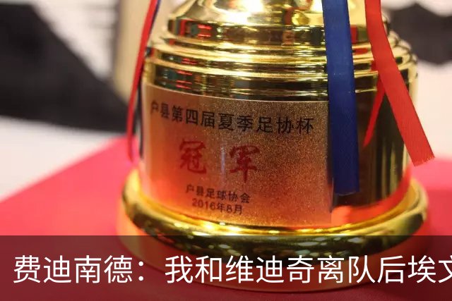 费迪南德：我和维迪奇离队后埃文斯能力最强